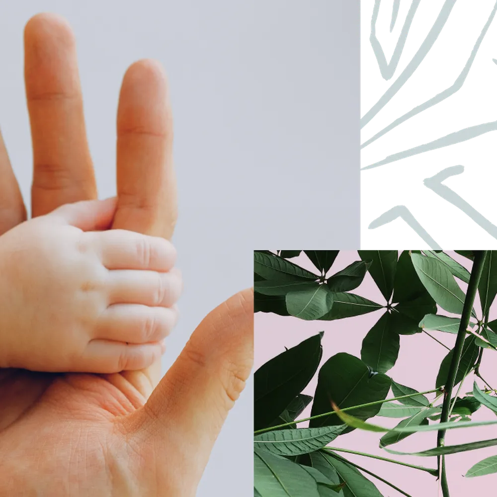 adult and baby hand, plants