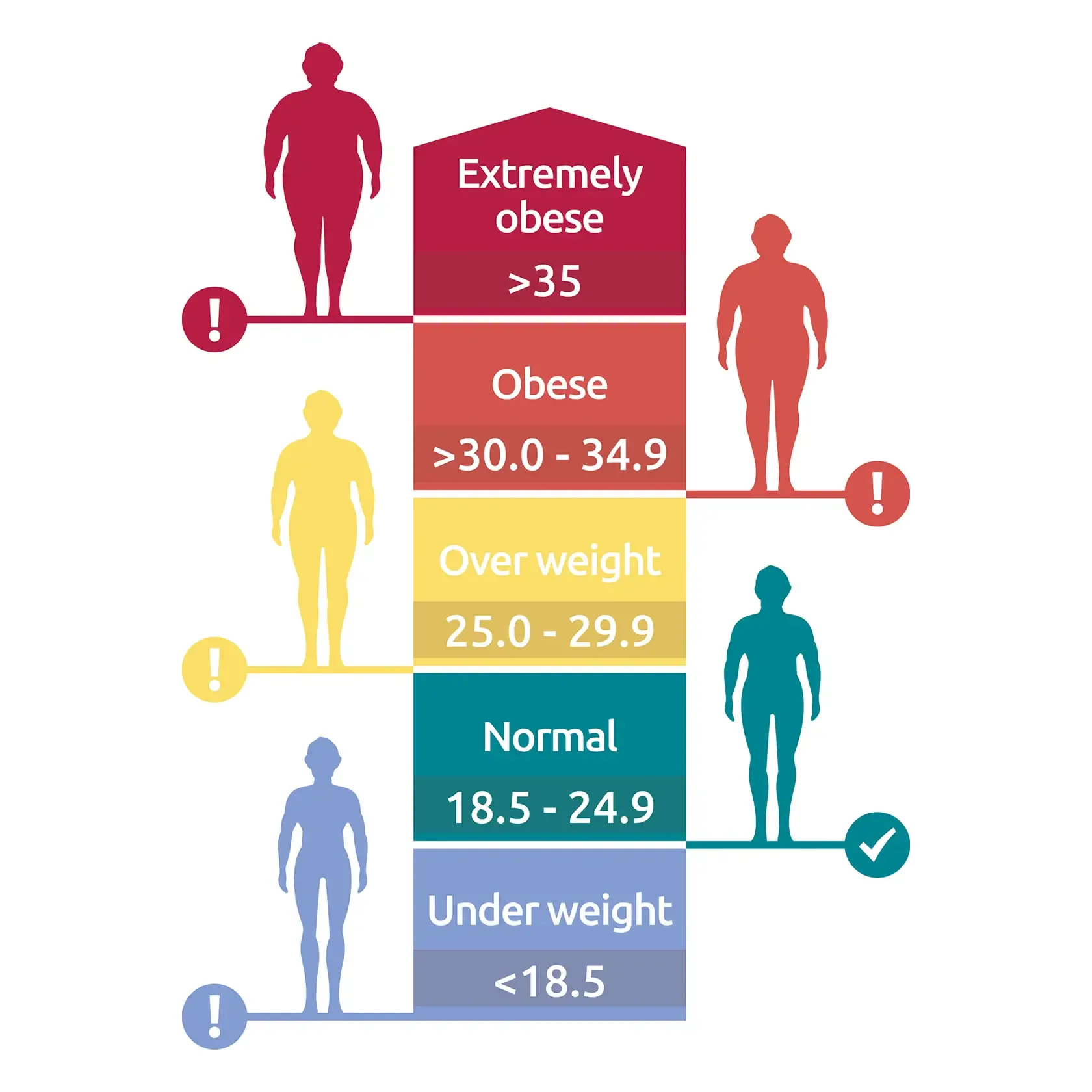 BMI Chart for Fertility Treatments