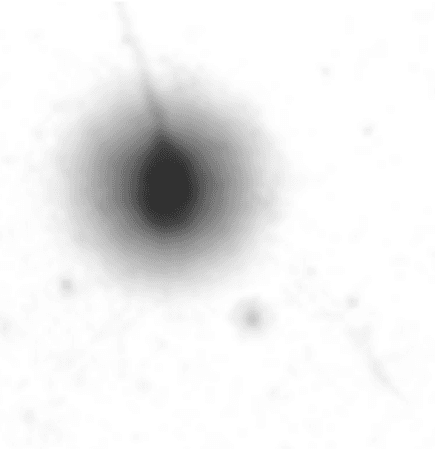 chromatyna plemnikowa