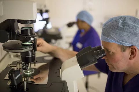 Researchers looking in microscopes in a lab