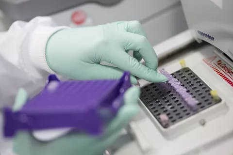 Researcher wearing gloves in a lab