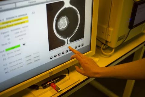 Clinician analyzing test results on computer screen