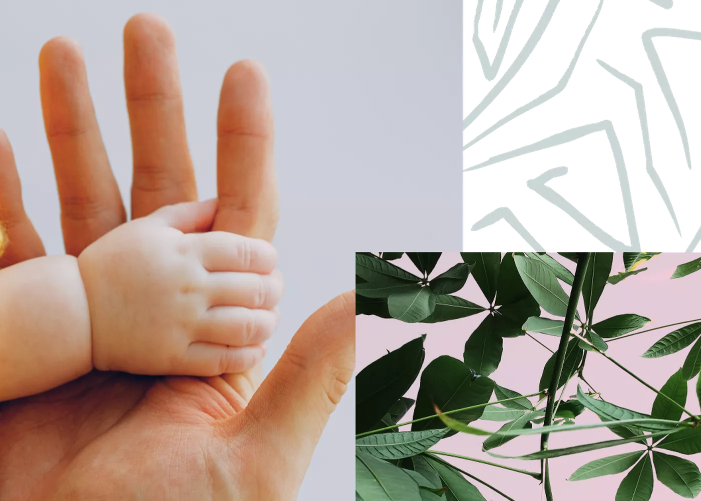 adult and baby hand, plants