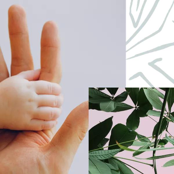 Baby hand and adult hand
