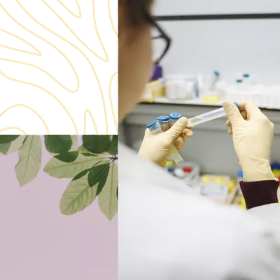plant, woman examining sample