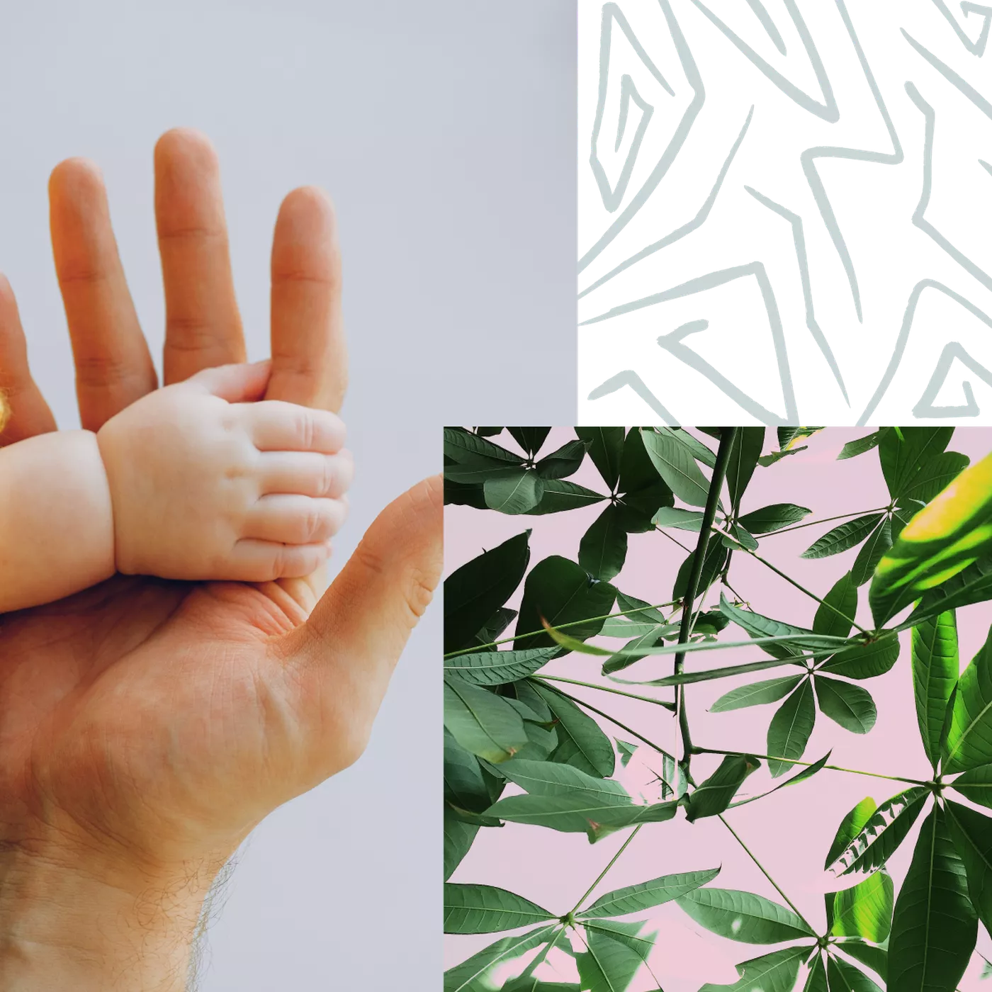 baby holding hand, plant
