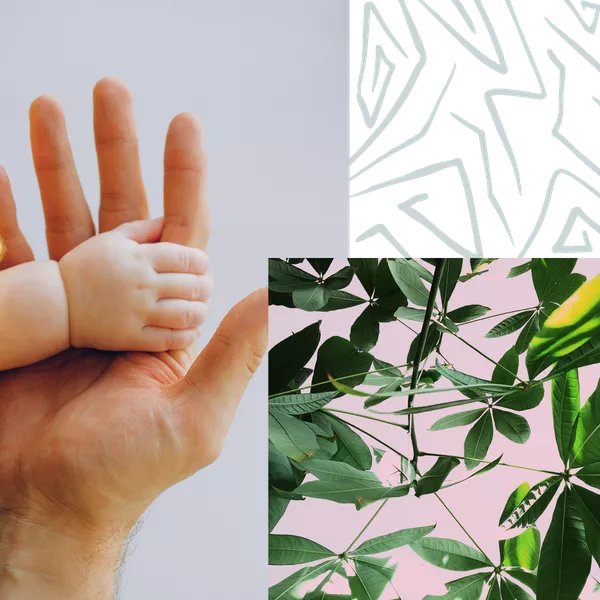 baby holding hand, plant