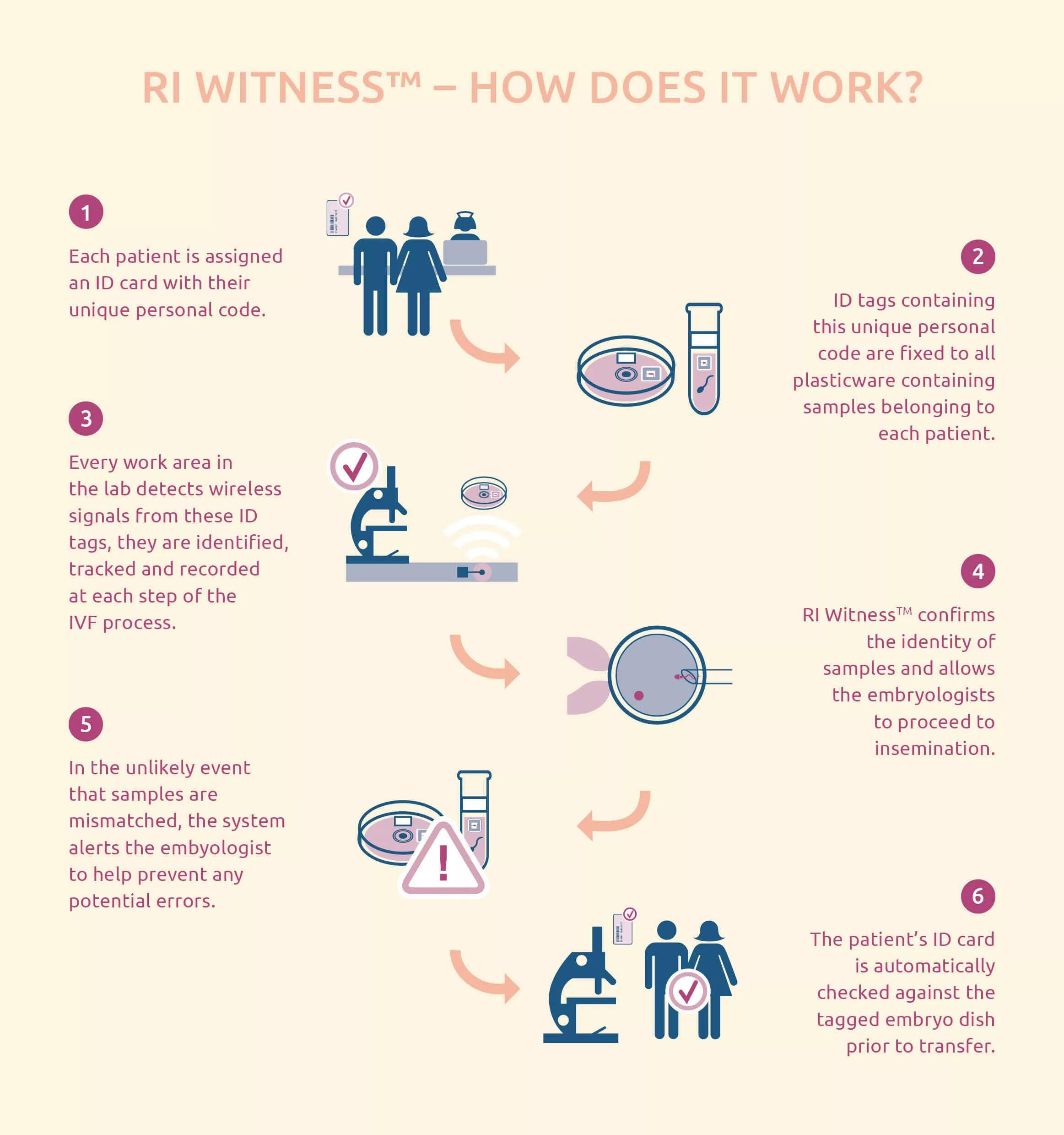 RI Witness Fact Sheet | TFP