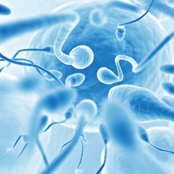 Examination of sperm