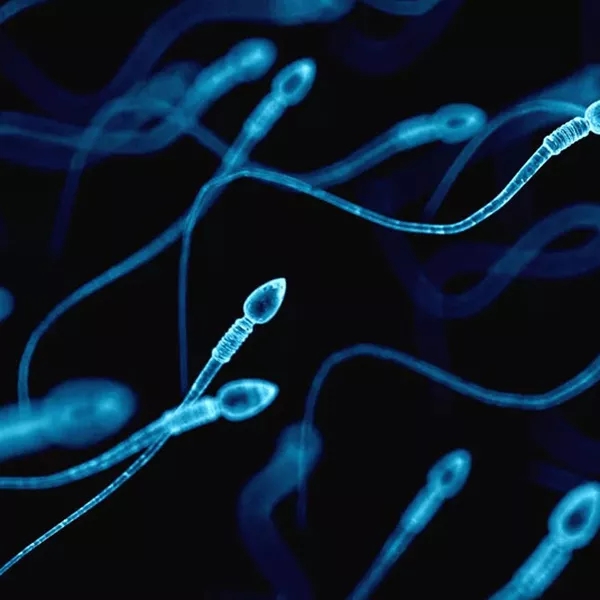 Sperma donor worden