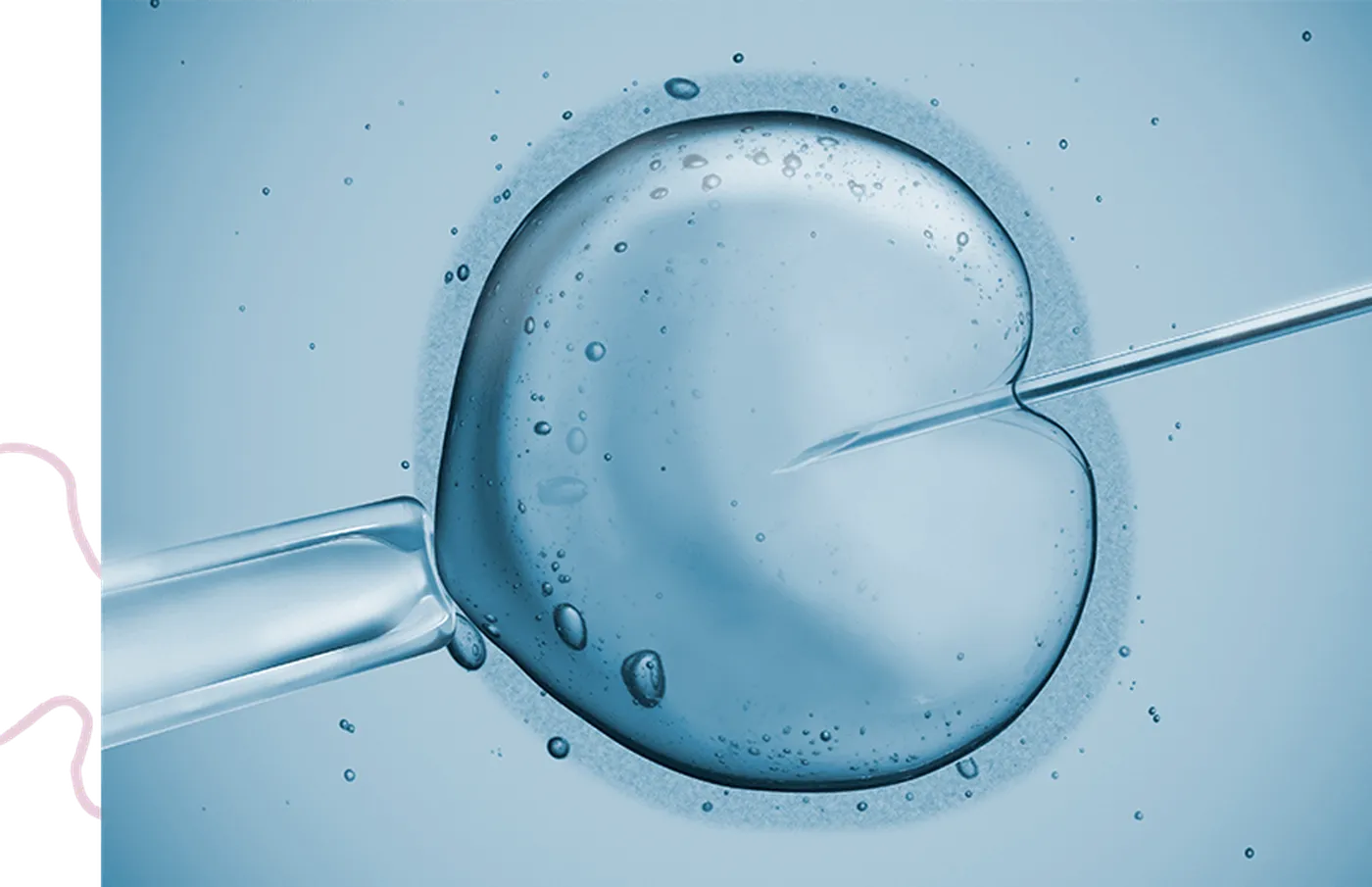 Fecondazione di un ovulo in laboratorio
